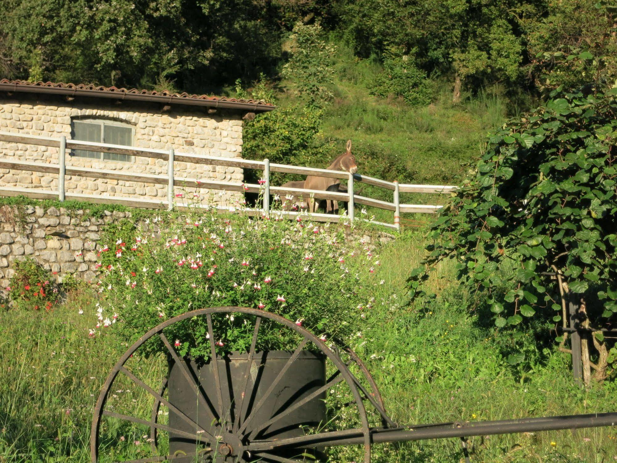Agriturismo Deviscio Lecco Buitenkant foto